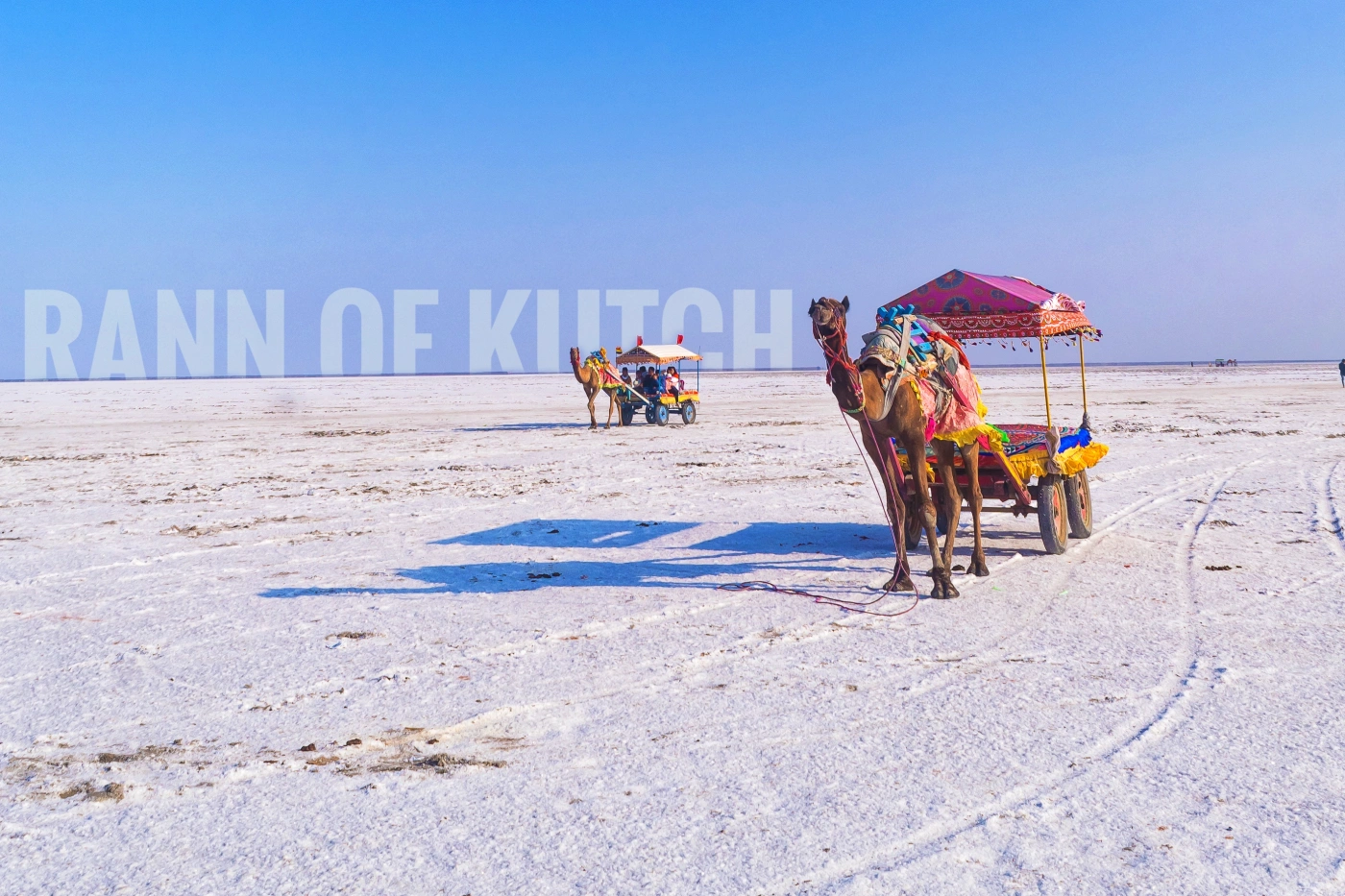 Kutch Tours and Travels