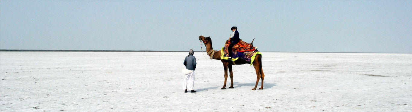 GLIMPSE OF WHITE RANN VIJAY VILAS PALACE AND TENT CITY OF RANN UTSAV