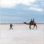 GLIMPSE OF WHITE RANN VIJAY VILAS PALACE AND TENT CITY OF RANN UTSAV